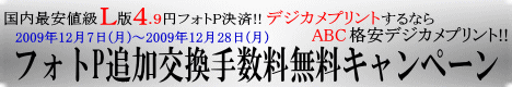 フォトP追加交換手数料無料キャンペーン