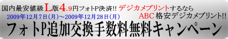 フォトＰ追加交換手数料無料キャンペーン