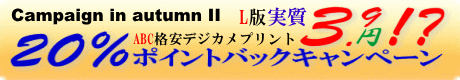 ABC格安デジカメプリントご注文者ポイントバックキャンペーン